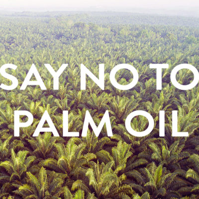 Why palm oil is bad?